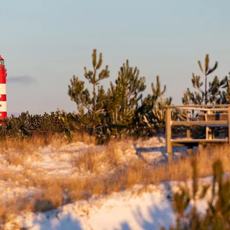 Daire Kleine Perle Auf Amrum *