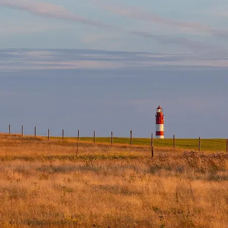 Kleine Perle Auf Amrum * Norddorf