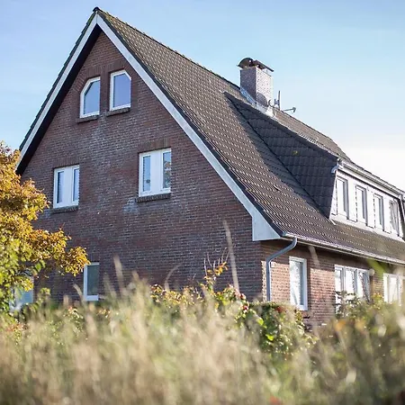 Kleine Perle Auf Amrum